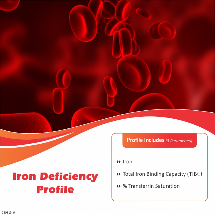 IRON DEFICIENCY ANEMIA TEST IRON BLOOD TEST 3 Tests