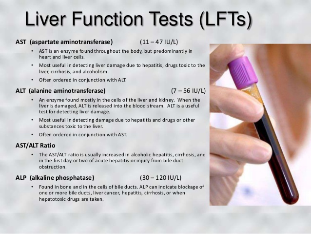 LIVER FUNCTION LabTest