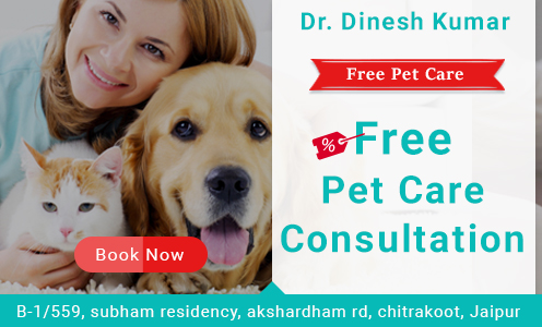 Free Pet Consultation only with KayaWell