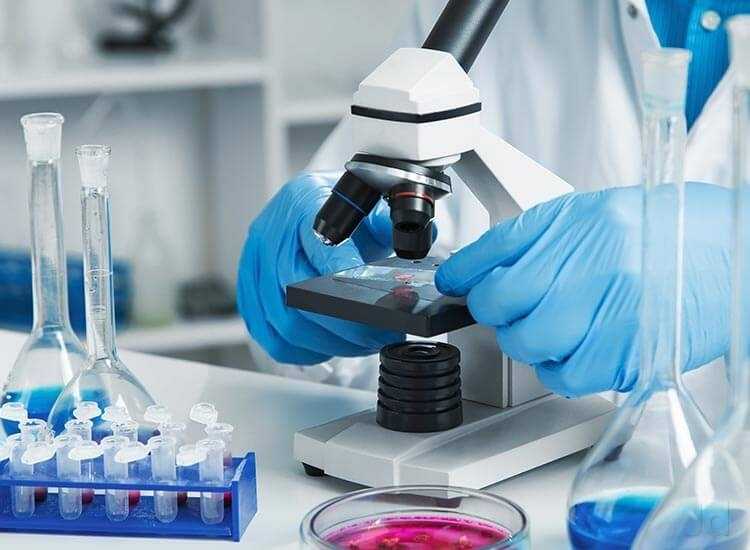   Divine Diagnostics from 3/109, 3/111, Jawahar Nagar, Opposite Head Post Office ,Jaipur, Rajasthan, 302004, India 3 years experience in Speciality Pathologist | Lab Test | X-Ray Labs | Kayawell