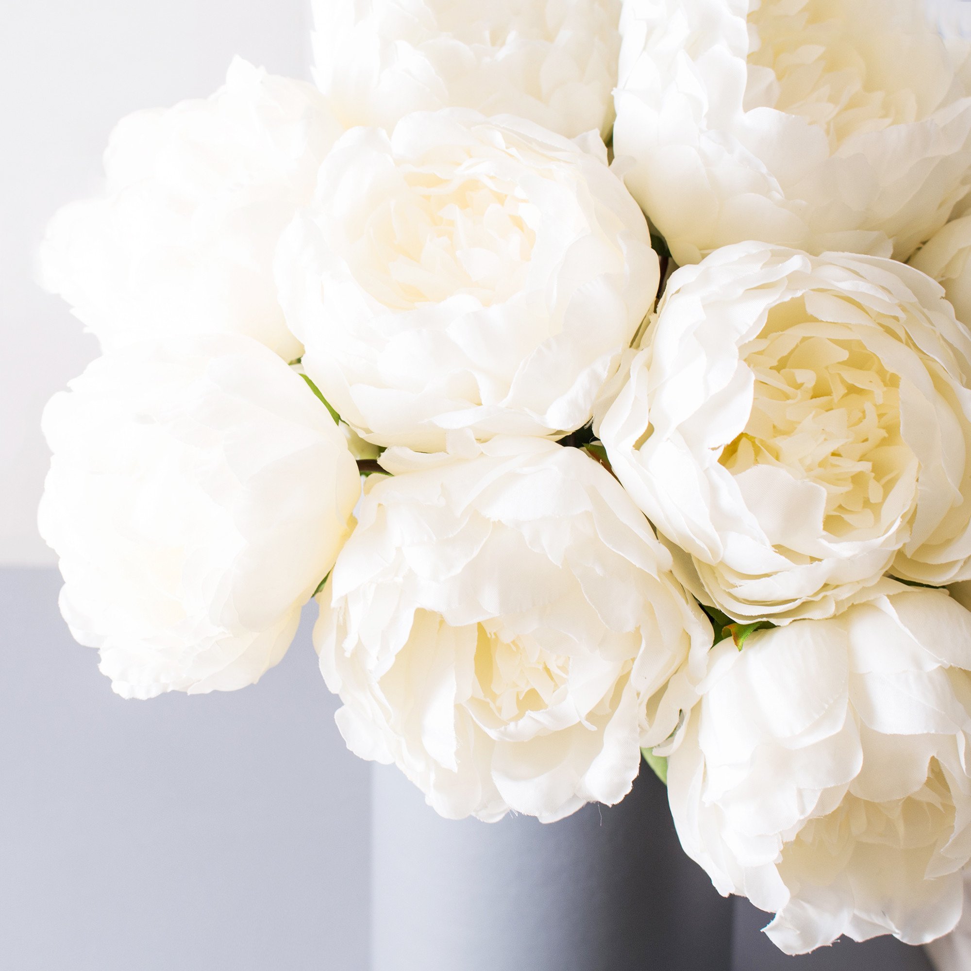 The Gentle World Of White Peony: 7 Remarkable Uses