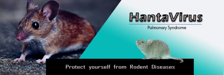 hantavirus-banner2