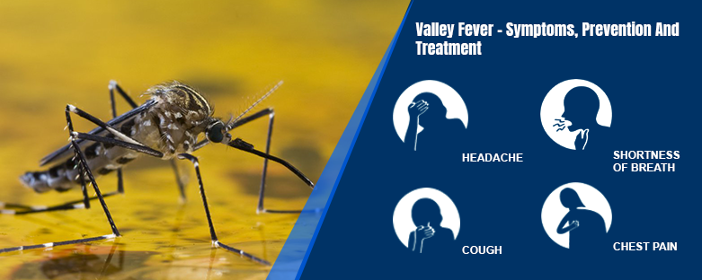 Valley Fever Symptoms Prevention And Treatment KayaWell